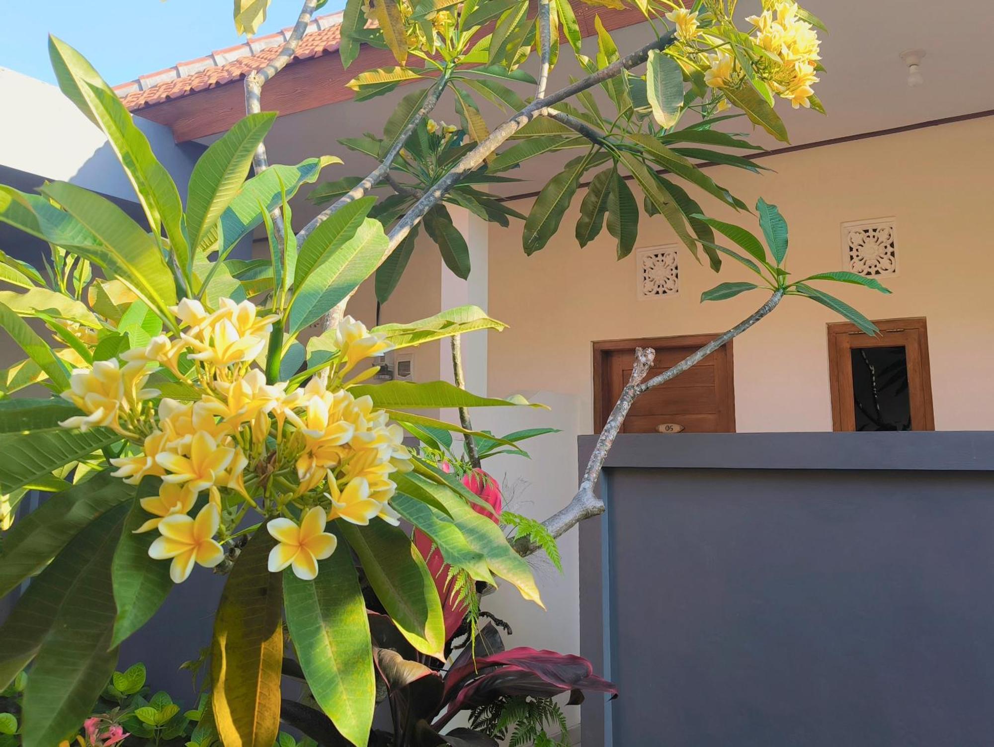 Guest House 88 Pandawa Ungasan Exterior foto